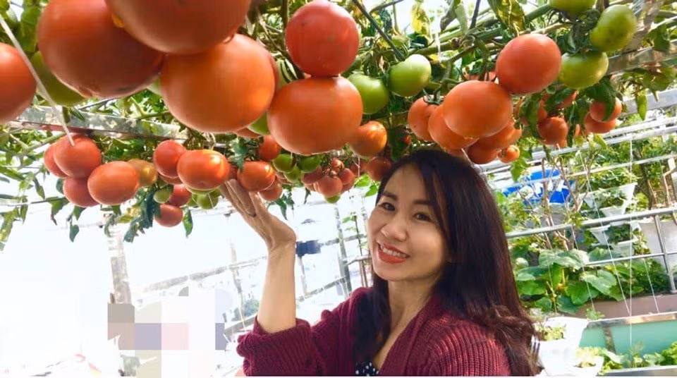 Man nhan khu vuon trong rau nuoi ga tren san thuong giua thu do