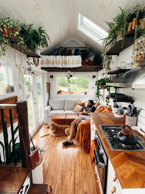 Trong nhà, Molly trang trí thêm nhiều chậu cây xanh cho không gian thêm sống động.