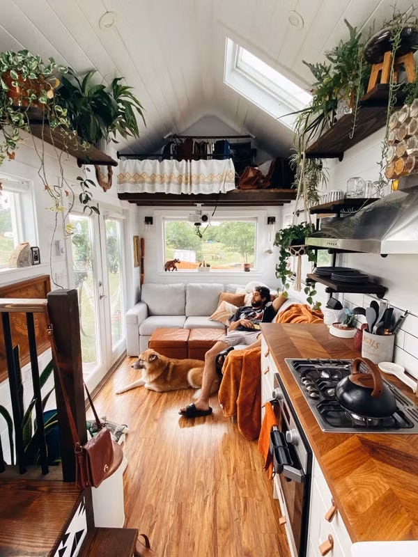 Trong nhà, Molly trang trí thêm nhiều chậu cây xanh cho không gian thêm sống động.