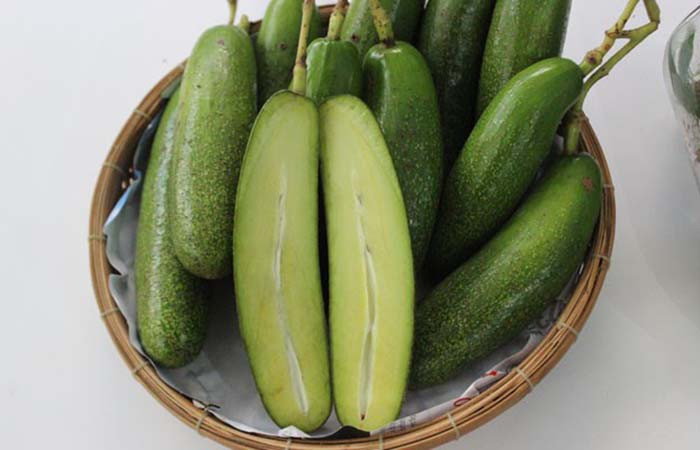 Nhưng đối với loại bơ này quả càng to thì tỉ lệ có hạt càng cao, quả càng nhỏ càng không có hạt. Đây là giống bơ mới được phát hiện ở Tây Nguyên nhưng chưa được trồng nhiều nên giá khá đắt từ 100.000 đến 120.000/kg.