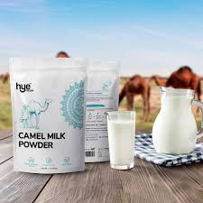 Ở Arab và các nước thuộc khu vực Bắc Phi, sữa lạc đà được dùng như một thực phẩm đặc biệt để chăm sóc trẻ em suy dinh dưỡng. Nguồn ảnh: Internet Video: ‘Sữa gián’ bổ hơn cả sữa bò. Nguồn: VTC1.