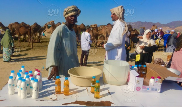 Không chỉ vậy, sữa lạc đà còn có giá trị dinh dưỡng cao, ít chất béo bão hòa, ít chất gây dị ứng và hầu như không có đường lactose.