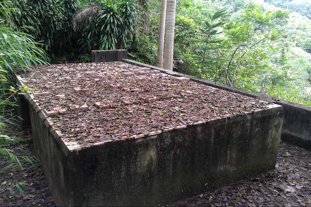 Hầm mộ ướp xác được ông Đức khởi công từ năm 2000, hoàn thiện năm 2006. Công trình nhằm hướng Tây Bắc, số bậc thang dẫn lên hầm mộ được các pháp sư tính toán cẩn thận. Ảnh: Giadinhxahoi.