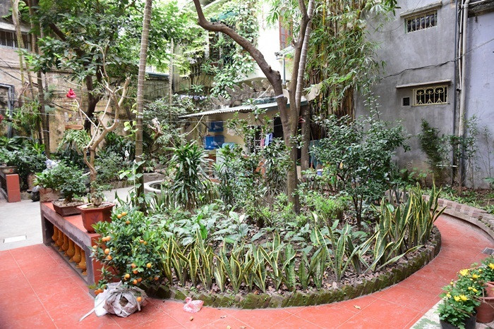 Khu vườn ngập tràn cây xanh là chi tiết hiếm có mà bất kỳ căn biệt thự phố cổ nào cũng mong muốn được sở hữu. Ảnh: Vietnamnet.
