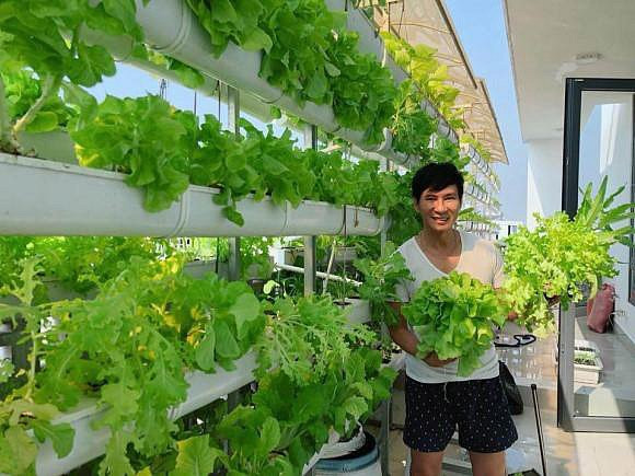 Trong khu vườn có rất nhiều loại cây khác nhau khiến cho Minh Hà vô cùng thích thú. Tất cả những trái cây trong vườn, rau xanh đều do chính tay Minh Hà chăm sóc theo phương pháp hữu cơ.