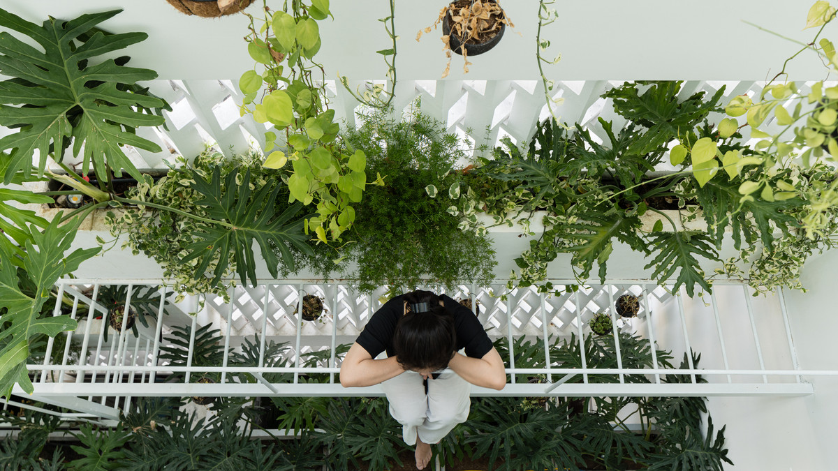 Tận dụng giếng trời và hệ thống thông gió ở phía sau, kiến trúc sư thiết kế khu vườn trong nhà ngay sau bức tường chắn gió để tạo mảng xanh cho không gian.