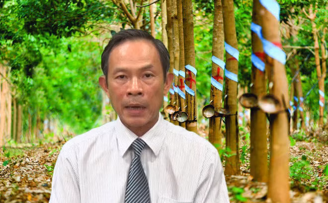 Top 5 ty phu chung khoan Tran Ngoc Thuan dieu hanh TD Cao su Viet Nam lai lo the nao?