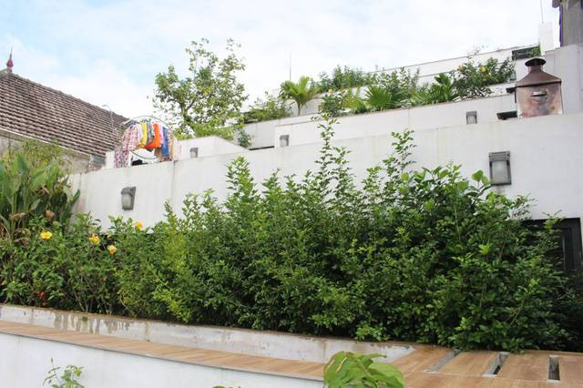 Để lấp đầy các khay bê tông để phục vụ cho việc trồng cây trên mái nhà, gia chủ phải sử dụng tới 10 khối đất. Ảnh: H&amp;P Architects.