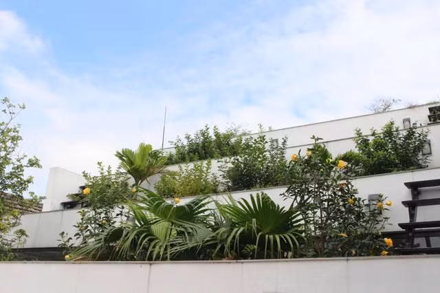 Từ đó tạo nên thảm thực vật bảo vệ ngôi nhà khỏi thời tiết nhiệt đới khắc nghiệt. Ảnh: H&amp;P Architects.