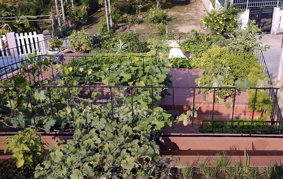 Khu vực trồng rau được trải lớp vỉ thoát nước. Ảnh: TAA Desgin.