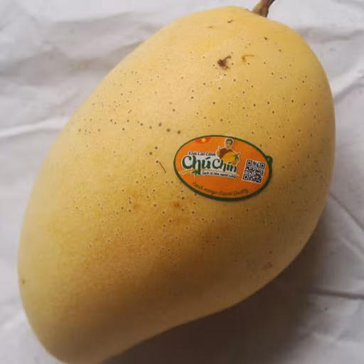 Với giá này, một quả xoài Cát Chu nhỏ có giá khoảng hơn 70.000 đồng và quả lớn khoảng 100.000 đồng, chưa tính thuế. Ảnh: Facebook.