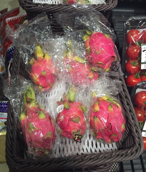 Thanh long là một trong những trái cây tươi đầu tiên của Việt Nam được xuất khẩu sang Nhật Bản. Giá bán lẻ thanh long tại Nhật vào khoảng 180.000-200.000 đồng/kg. Ảnh: Camnangnhatban