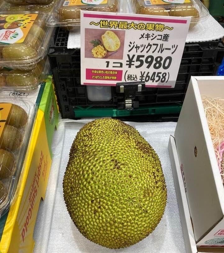 Tính ra, mỗi kg mít tại Nhật Bản cũng có giá lên tới vài trăm nghìn đồng, đắt gấp hàng chục lần so với mít tại Việt Nam (30.000 - 40.000 đồng/kg). Ảnh: Vietnamnet.