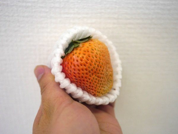 Dâu tây có vị như trái đào là sản phẩm độc đáo do người Nhật "phát minh" ra. Loại quả này có kích thước lớn hơn dâu tây bình thường, màu sắc bên ngoài nhạt hơn còn bên trong thì trắng mịn.