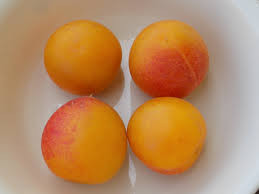 Nhà nghiên cứu Burbank lai giống mận Nhật Bản với mơ và làm việc đó liên tục cho tới khi ông có một loại quả có ruột như mận và mùi của quả mơ.