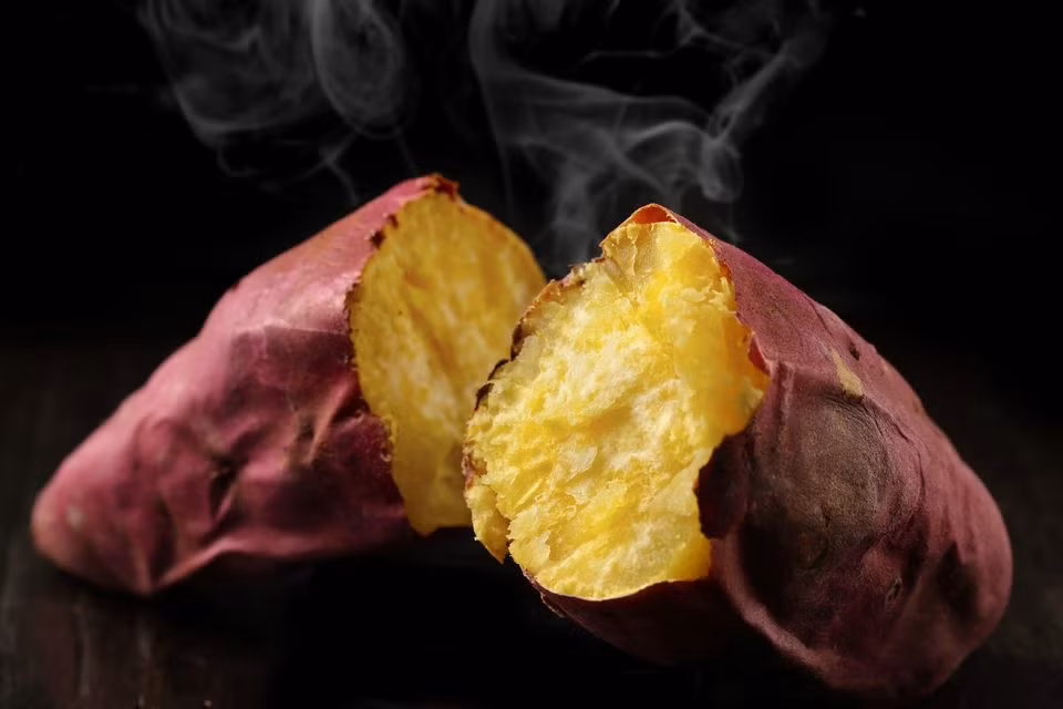 Theo người bán, đây là loại khoai lang tươi nhập khẩu từ Nhật Bản. Khoai Nhật ăn vừa dẻo lại thơm nhưng không bị khô khi hấp hay nướng.