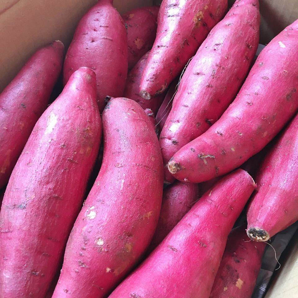 Khoai lang Nhật có màu tím bên ngoài và màu vàng bên trong, khi nướng vỏ chuyển sang nâu đỏ.