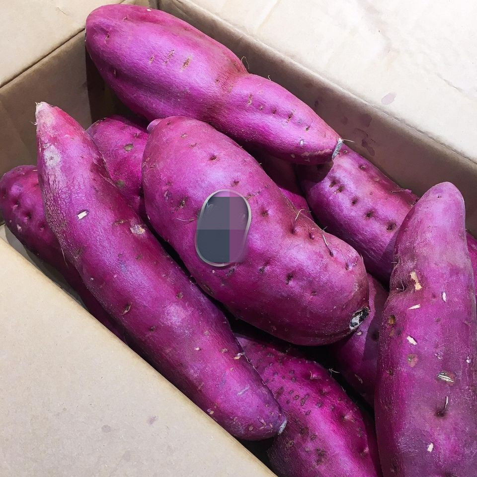 Cô Giang (TP HCM) cho biết, khoai lang Nhật nặng từ 600 - 700 g/củ, có loại to đến 1kg.