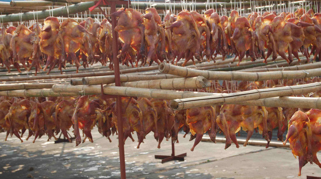 Chỉ những ai vững tâm lắm mới có thể bình tĩnh trước những tiếng rên rỉ bi thương và cảnh máu me rùng rợn. Nguồn ảnh: China news. Video: Đại gia Đà Nẵng mua xế 7 tỷ tặng vợ. Nguồn: VTC1