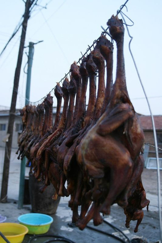 Đặc biệt, tất cả những bước làm đều phải được thực hiện trong thời gian ngắn để đảm bảo con gà vẫn còn sống khi được treo lên giá.