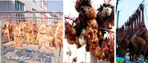 Sự đau đớn tột cùng sẽ gặm nhấm con gà cho tới khi chúng từ từ chết đi, thân xác khô quắt lại và chờ lên bàn ăn phục vụ thượng khách giàu có.