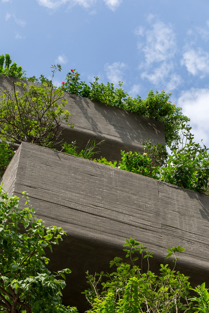 Để giảm bớt sức nóng từ mặt trời vào buổi chiều, các khối bê tông được thiết kế thò ra, thụt vào và bao phủ bởi cây xanh, tạo ra khu vườn treo độc đáo, giúp không gian bên trong mát hơn.