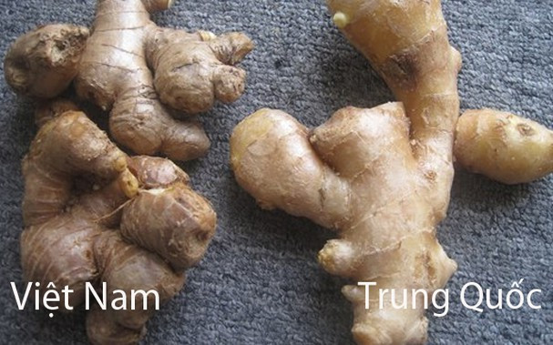 Gừng Việt Nam vỏ xỉn màu, nhiều rễ và nốt sần sùi, bẻ đôi củ sẽ thấy có đường gân bên trong, có vị thơm đậm, cay nồng. Trong khi gừng Trung Quốc củ to, tròn, da trơn láng, mịn màng, thân mọng nước, rất ít gân, xơ.