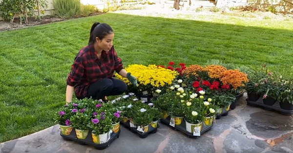 Ngoài trái cây, Hoa hậu Phạm Hương còn trồng cả hoa trong vườn. Ảnh: FBNV.