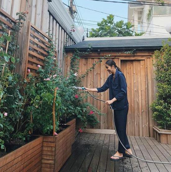Ngoài thời gian bận rộn với công việc và chăm sóc gia đình, Tăng Thanh Hà còn dành thời cho góc vườn nhỏ với những gốc vườn xinh xắn. Ảnh: Instagram.
