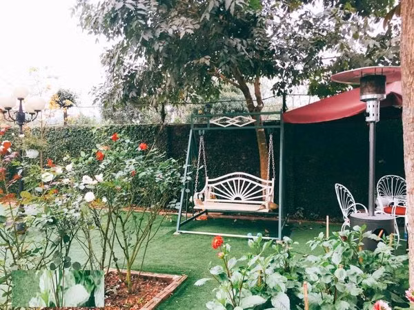 Những khóm hoa đủ sắc màu bung nở trong vườn nhà nghệ sĩ. Ảnh: Internet.