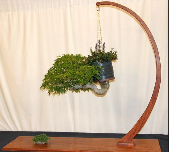 Chậu cây mini trồng ngược với dáng cây vươn lên mạnh mẽ. Ảnh: Caycanhvietnam.