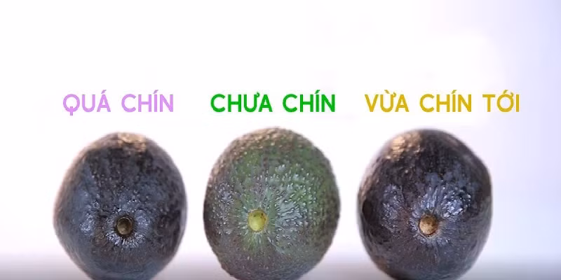 Với những quả bơ chưa chín thì lõi cuống sẽ có màu xanh, còn nếu có màu vàng thì có nghĩa là đang chín tới, màu nâu sẫm là bơ đã chín quá, rất dễ bị nẫu.