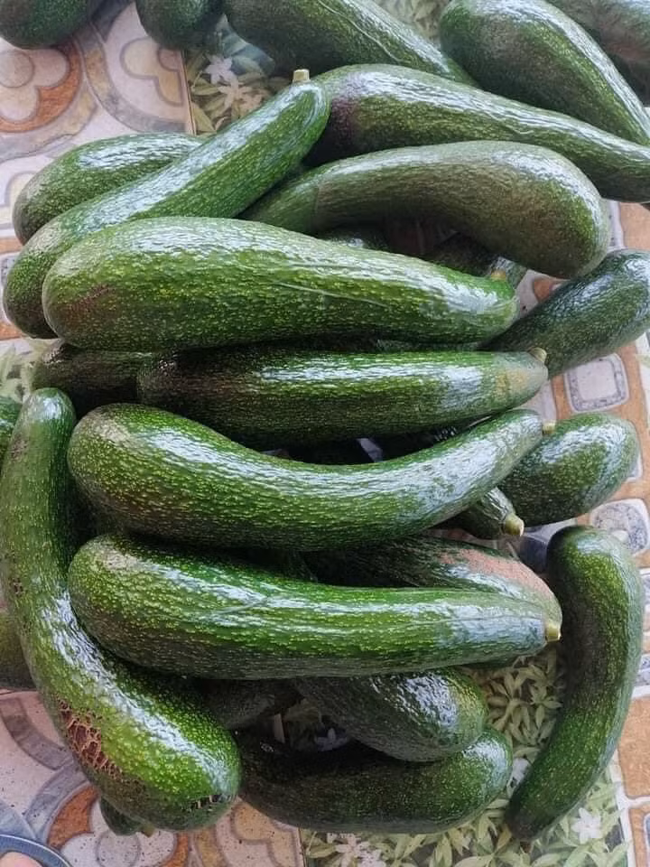 Bạn cũng có thể cho bơ vào túi giấy cùng trái chuối chín. Chỉ trong vòng một ngày, khí ethylene từ chuối chín sẽ làm bơ chín nhanh hơn và ngon một cách tự nhiên.