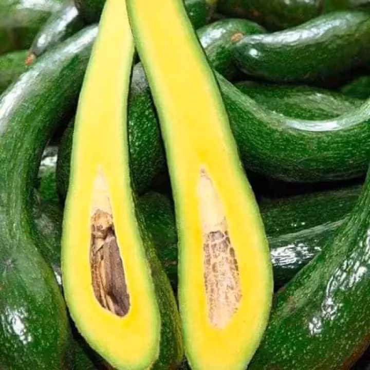 Nhìn đúng điểm này để phân biệt bơ chín cây và bơ ngâm hóa chất Nhin dung diem nay de phan biet bo chin cay va bo ngam hoa chat