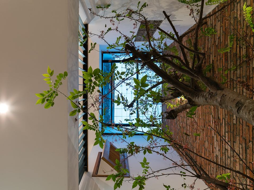 Giếng trời, vừa là nơi nơi tận dụng ánh sáng và thông gió tự nhiên, vừa là cầu nối giữa hai không gian sinh hoạt và nghỉ ngơi.