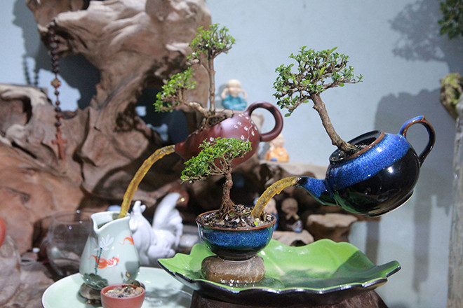 Những tác phẩm bonsai bay mini của anh Huỳnh làm ra đến đâu khách đặt mua hết đến đó. Ảnh: Dân Việt.