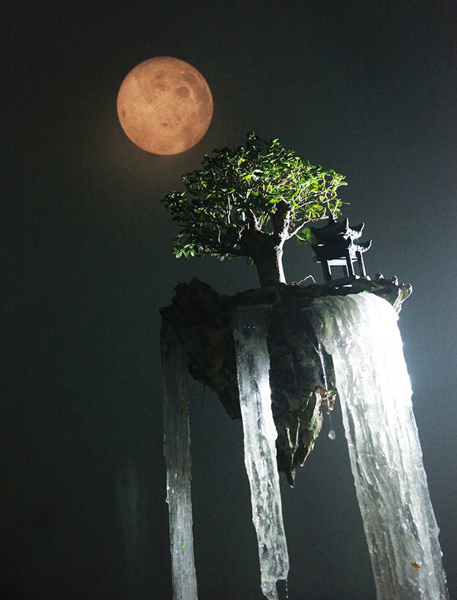 Vật liệu tạo nên “đảo bay” gồm đá, bonsai mini và một loại keo chuyên dụng trong xây dựng. Ảnh: Dân Việt.