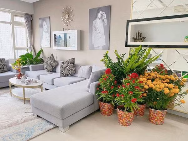 Gam màu trắng giúp không gian nhà thêm sáng sủa.