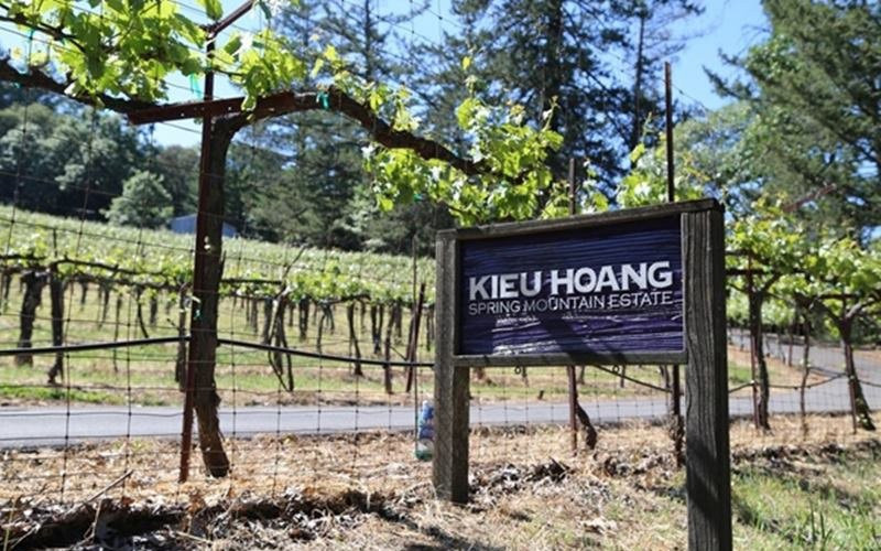 Hiện tại nhà máy rượu này được đổi tên sang chính tên của ông. Nguồn ảnh: Internet Video: Người Việt nào giàu hơn tỷ phú Phạm Nhật Vượng? Nguồn: VTC14