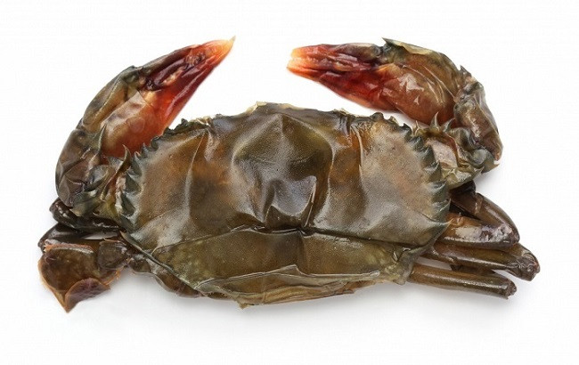 Theo kinh nghiệm của người dân Cà Mau, đối với cua cốm cái, khi mở nhẹ phần yếm sẽ thấy lông màu hồng đỏ. Lớp lông càng hồng đỏ thì cua sẽ càng ngon. Ảnh: Dân Việt