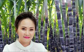 Trong ngành mía đường Việt Nam, nếu như bà Huỳnh Bích Ngọc được mệnh danh là "nữ hoàng mía đường" thì con gái Đặng Huỳnh Ức My cũng được biết tới với danh xưng "công chúa mía đường". Ảnh: Plo.