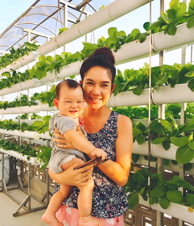 Để tiết kiệm diện tích, phần sân thượng có nhiều ánh nắng được Lý Hải thiết kế hệ thống thủy cảnh dạng đứng với mái che để giảm bớt ánh nắng và mưa trực tiếp xuống làm hỏng rau.