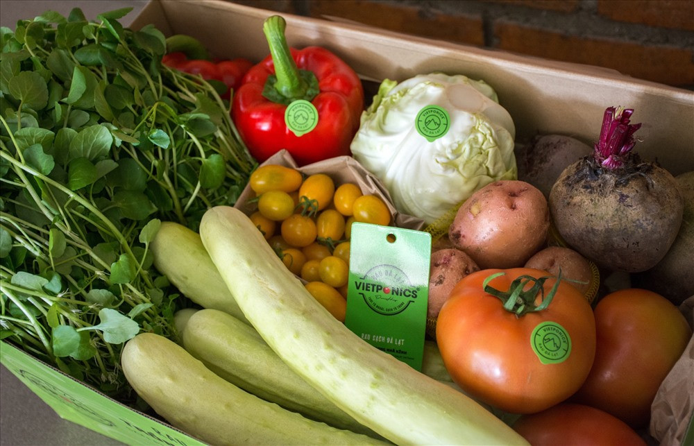 Có giá từ 200.000 đến 500.000 đồng, giỏ quà nông sản với các loại cà chua beef, cà chua cherry đủ màu, dưa leo baby...được coi là có ý nghĩa thiết thực trong ngày Tết. Ảnh: Lao động.