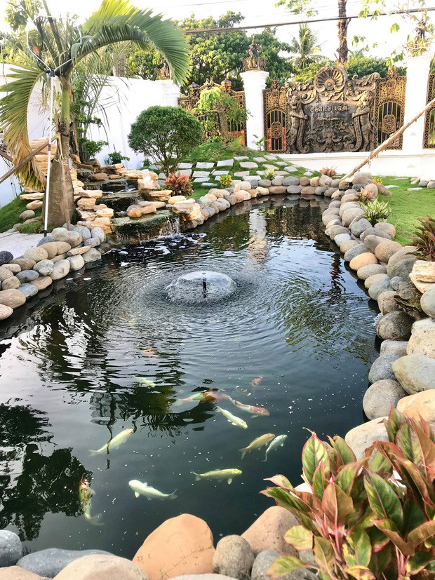  Biệt thự của Bích Ngọc có diện tích khoảng 2000m2, nằm trong 1 khu đất rộng khoảng 6000m2 ở Sóc Trăng.