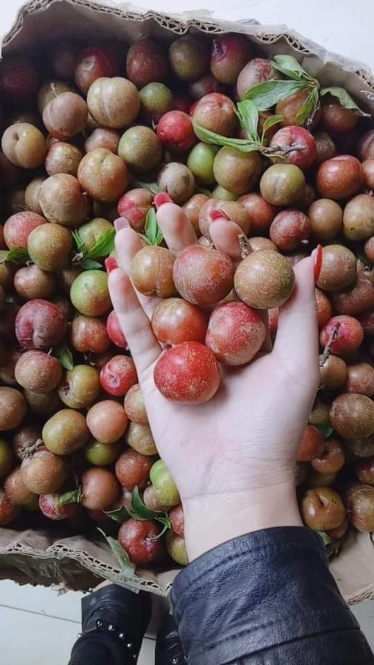 Chị Hoa (Hoàng Mai, Hà Nội) một người bán mận online cho biết, giá mận nhập về cao, quả nhỏ, không đẹp nhưng lại được nhiều người ưa chuộng.