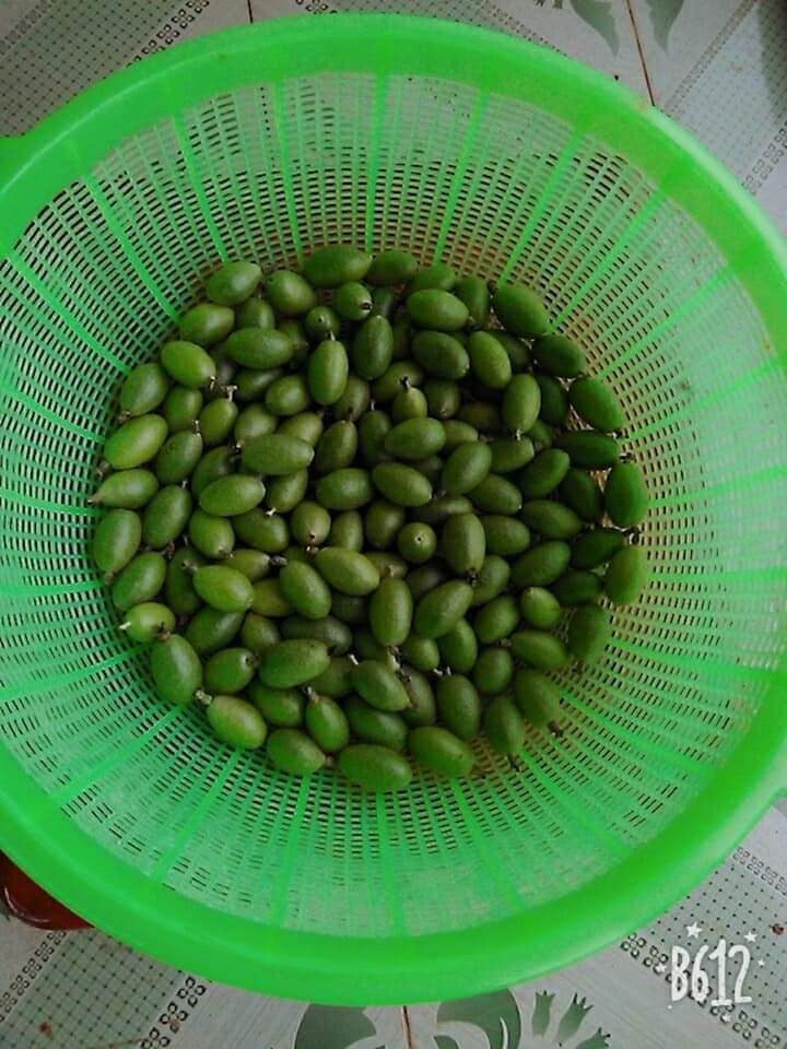 Lần thứ 3 chị Lan mua nhót xanh là cách đây một ngày trên phố Xã Đàn với giá 150.000 đồng/kg.