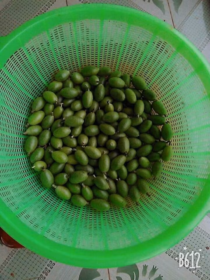 Lần thứ 3 chị Lan mua nhót xanh là cách đây một ngày trên phố Xã Đàn với giá 150.000 đồng/kg.