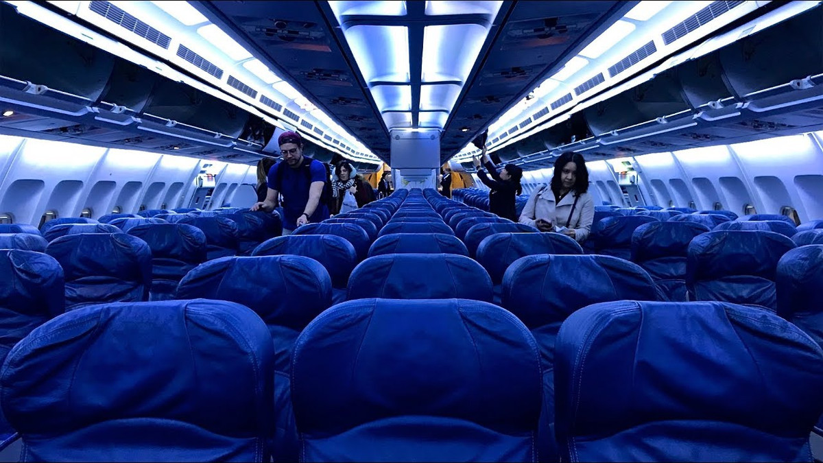 A310 được phát triển từ A300, nhưng có chiều dài ngắn hơn với sức chứa khoảng 200 ghế.