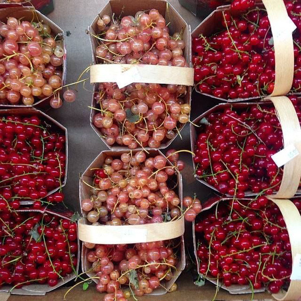 Tương tự, cách đây mấy năm, người tiêu dùng Việt săn lùng loại quả với tên sang chảnh "nho chuỗi ngọc", giá 2 triệu đồng/kg.