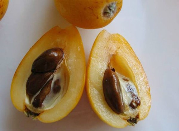 Năm 2017, quả biwa bất ngờ xuất hiện tại thị trường Việt Nam và khiến nhiều người "phát cuồng", lùng khắp nơi để mua về ăn thử.